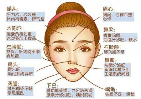 脸上半边脸老长痘,另外一外就不会,是身体哪个器管问题了吗