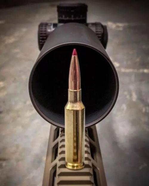 为什么不在子弹上涂抹毒药就算是美国也不这么干原因很简单