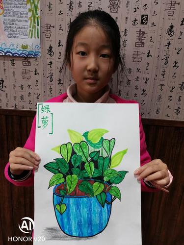 2020/11/07-08黑白画室初级三班【写生——绿萝】辅导老师陈老师