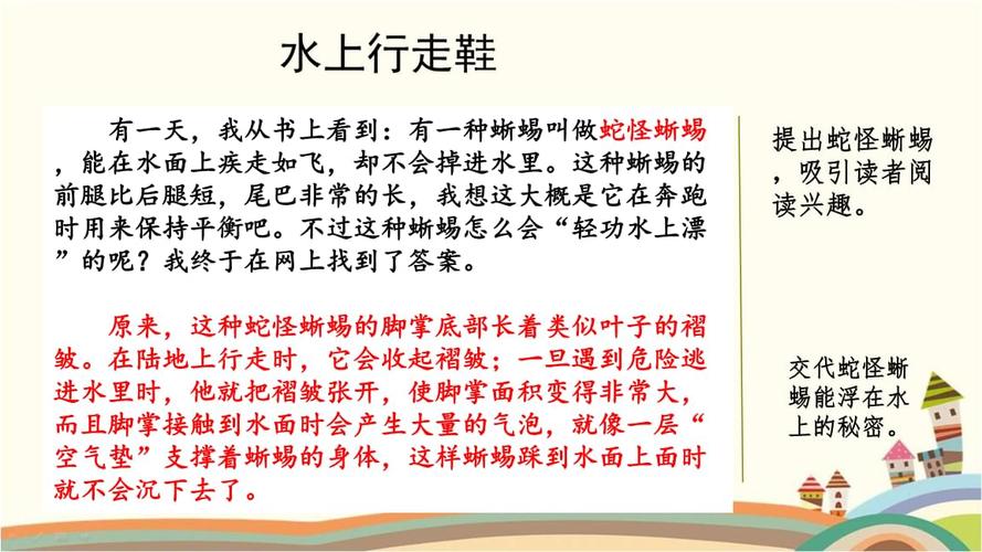 人教部编版四年级语文下册《第2单元范文1:水上行走鞋
