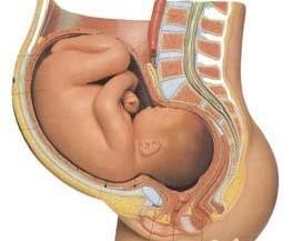 怀孕32周以后,宝宝生长迅速,羊水相对减少,此时胎宝宝的姿势和位置