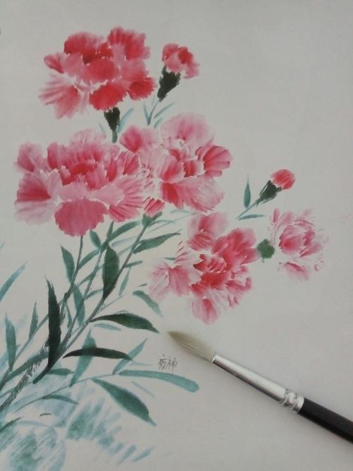 祝妈妈母亲节快乐! 康乃馨――伟大的母爱!