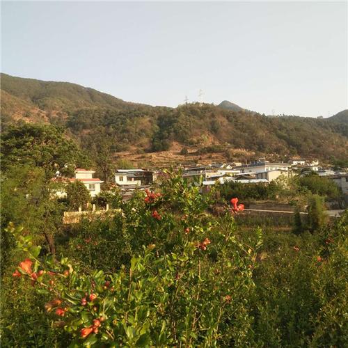 攀枝花仁和区大田镇银鹿村引进文化公司,产业发展有推手