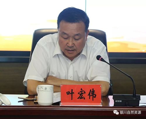 书记叶宏伟围绕"讲政治,全面推进从严治党和抓工作,高标准完成各项
