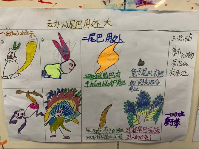 一(4)班 《动物尾巴作用大》手抄报集