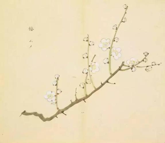 《诗经》精美古画100幅,笔下春风,丹青过实!