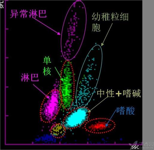散点图,因为我们还要结合检测数据,直方图,结合血细胞分析仪报警信息