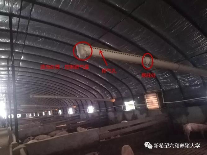 i养猪|几根管子解决育肥舍通风换气问题_猪舍