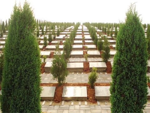 位于西安市长安区的凤栖山人文纪念园内的"凤栖慈善墓园"有5000个慈善