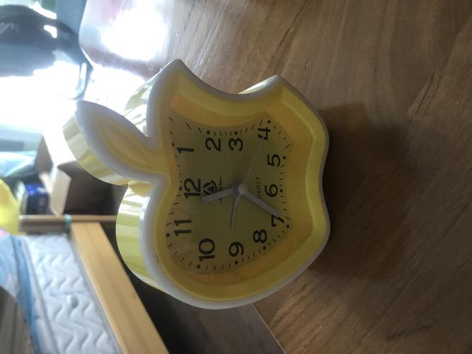 比如玩具小熊,贝壳等,我的心爱之物是小闹钟