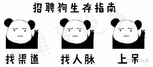 你做招聘的样子像极了我的表情包