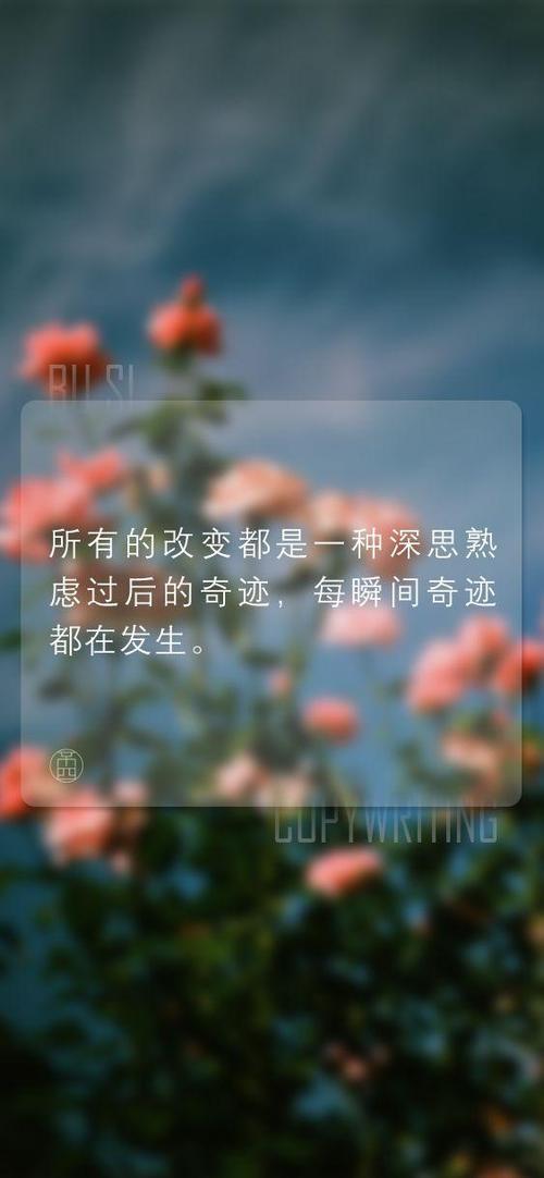 把文案做成壁纸|本期励志文案短句手机壁纸锁屏请查收