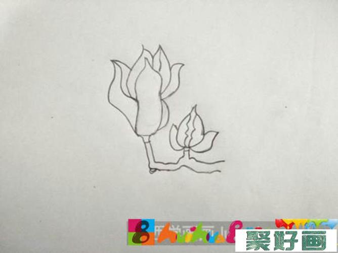 儿童画玉兰花怎么画