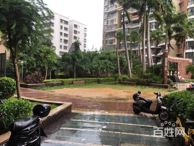 海口二手房出售 龙华二手房出售 滨海二手房出售 滨海金城国际二手房
