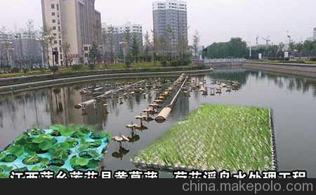 辽宁沈阳人工浮岛-吉林长春生态浮岛图片大全,安新县嘉祥水生植物种植