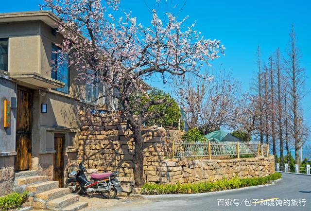 被称为鬼城的山东威海,海边风景区里,竟藏着这么美的一个花村