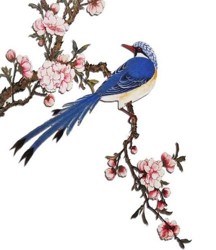 愿你的生活每天都"喜上眉梢"