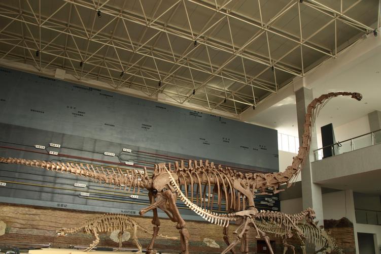 辽宁朝阳鸟化石国家地质公园 电子票 当日下单1小时后