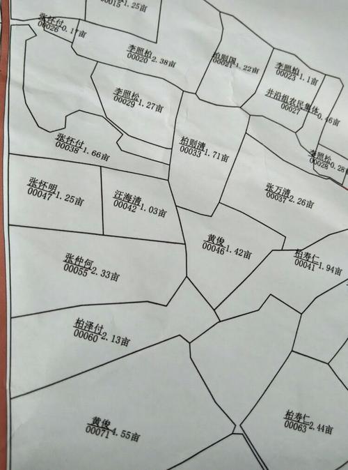 墩塘队土地确权图