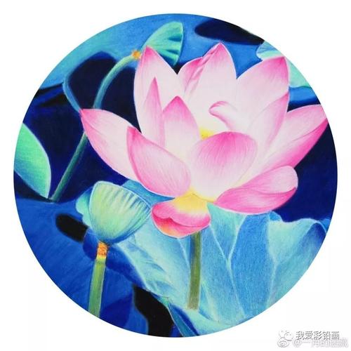 彩铅手绘--炎炎夏日画一副【夜荷】