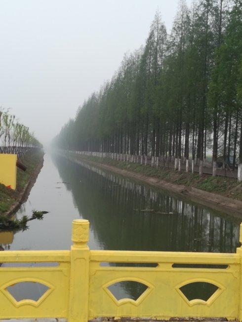 七律·马拉松赛前游返湾湖湿地公园