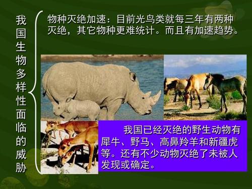 国 生 物 多 样 性 面 临 的 威 胁 物种灭绝加速:目前光鸟类就每