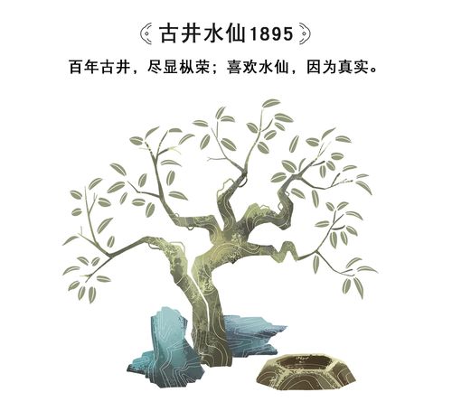 《古井水仙1895》——尽显枞荣,天心明月包装创意设计欣赏.