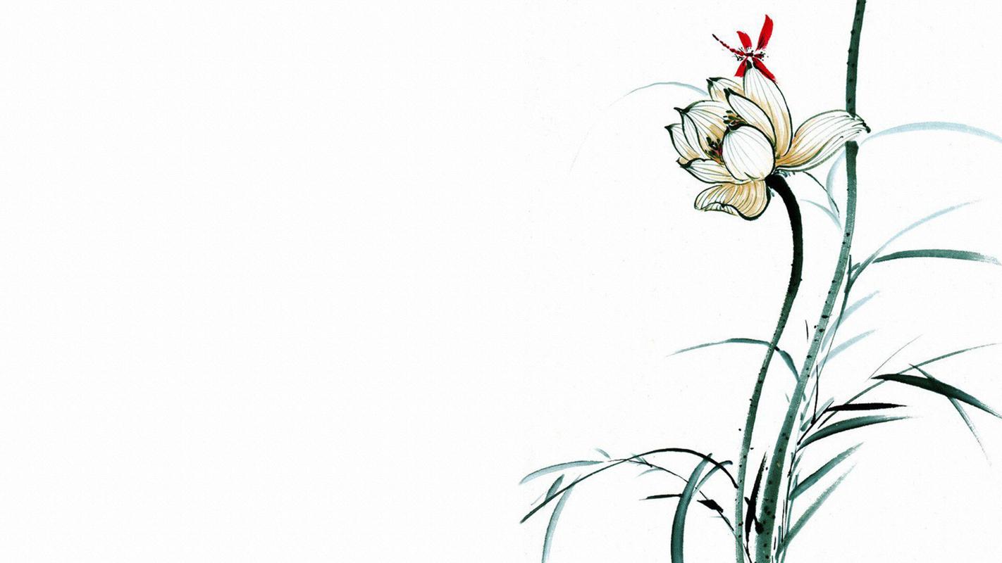 好看的简约中国风手绘素描荷花图片桌面壁纸高清(2)