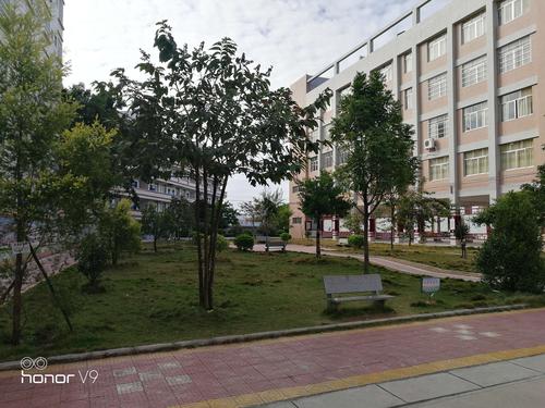 走进高州市泗水中学,体验不一样的教育情怀!