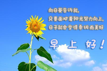 向日葵励志语录