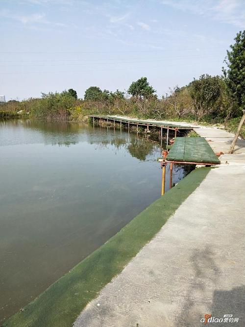 北蝉星马垂钓园咬牙鱼塘改造完成