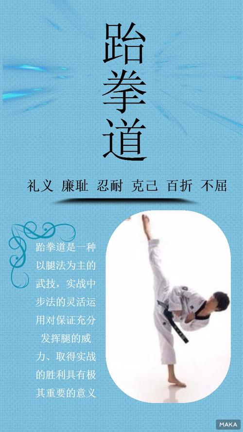 跆拳道宣传蓝色调简约清新风格