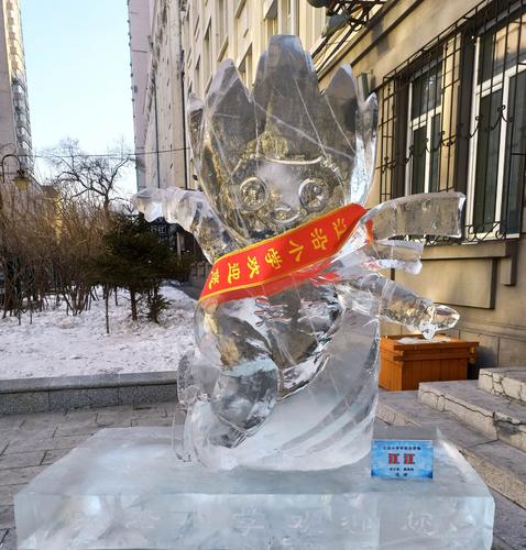 小学生设计的冰雕作品