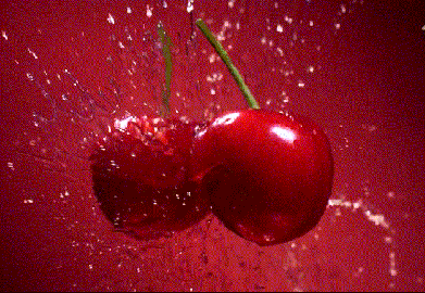 391_270gif 动态图 动图