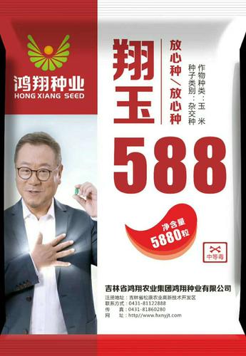 翔玉588—矮杆大穗型国审玉米新品种 鸿翔种业株高2.