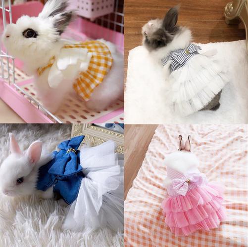 幼兔子用品衣服大额优惠券