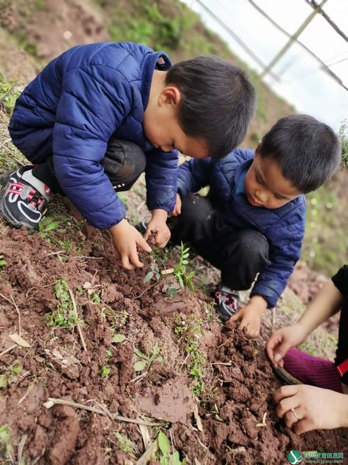 遂宁安居区磨溪幼儿园:开展"拥抱春天,播种绿色"主题教育活动
