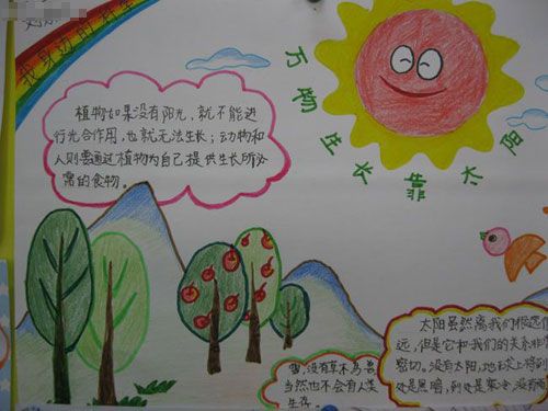 科学手抄报