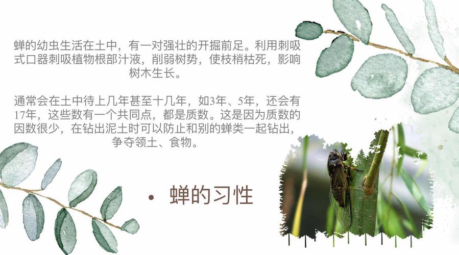第三十四中学 一年二十班 第二小组《昆虫记》读书交流会
