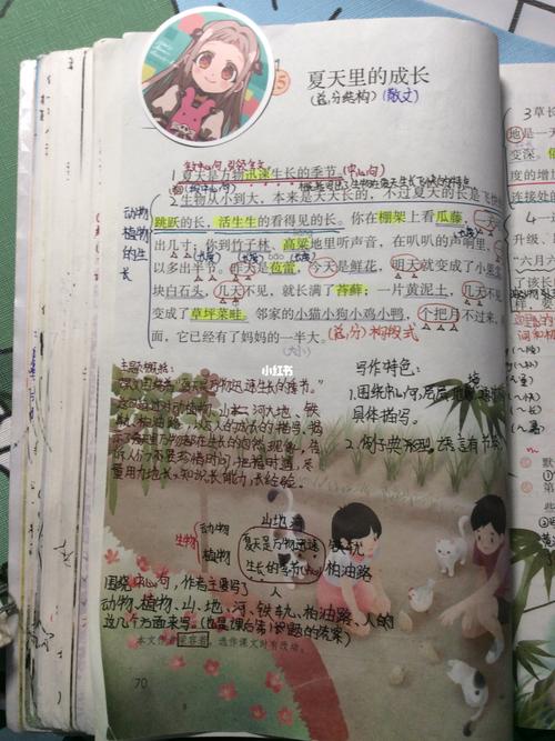 六上语文笔记《夏天里的成长》_夏天去哪玩_语文_今天