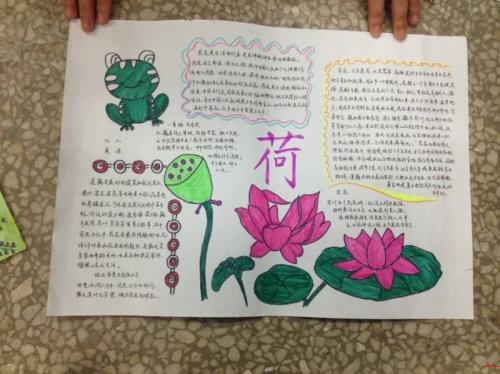 简单的三年级植物手抄报 三年级简单手抄报