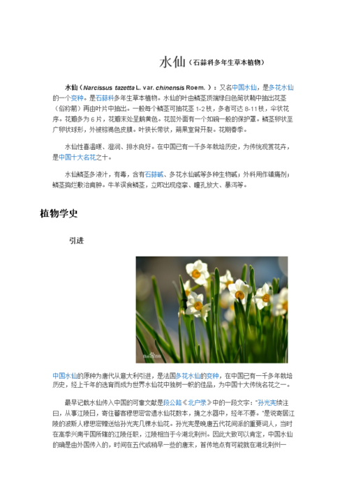 水仙花介绍doc5页