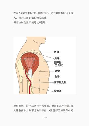 肌肉注射针位置图(精选课件)