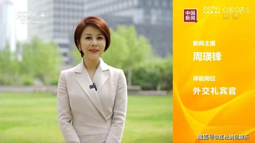 原创央视主播体验新岗位:周瑛锋当外交礼宾官,王端端考古,兴恺晨制冰