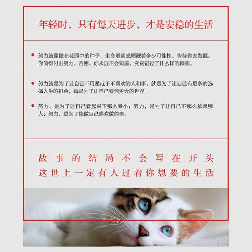 青春励志书籍 畅销书你所求的安稳,给不了你想要的人生励志文学小说