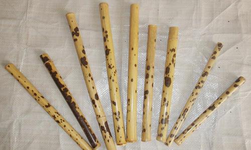 中华上下五千年—湘妃竹的由来,一个另男人沉默女人流泪的故事!