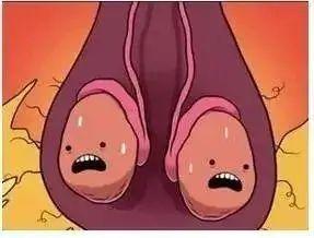 9年,身高增长共约25~30cm,其中,青春期中期约1.