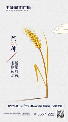 芒种
