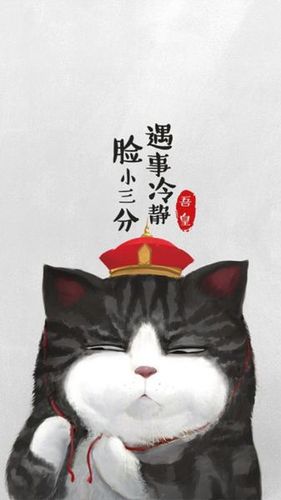 高清吾皇猫图片
