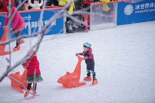 扬州首家户外真冰滑冰场来啦99元放肆开溜